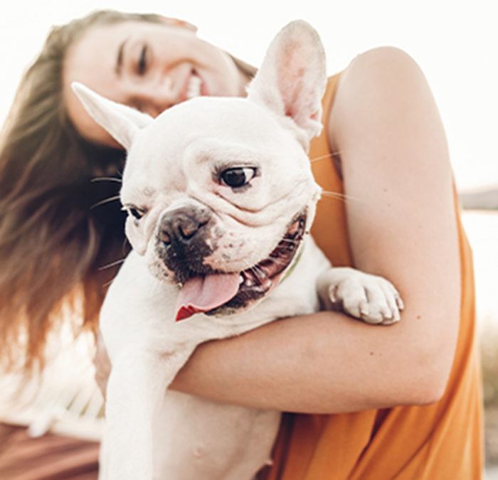The Benefits of Annual Heartworm Testing
