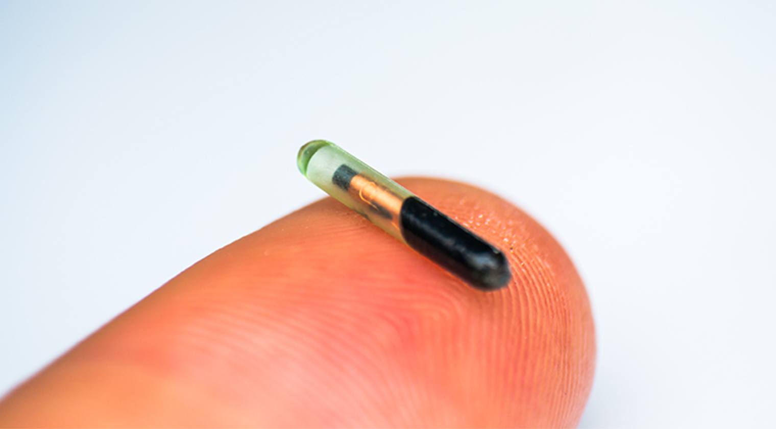 Photo of a pet microchip
