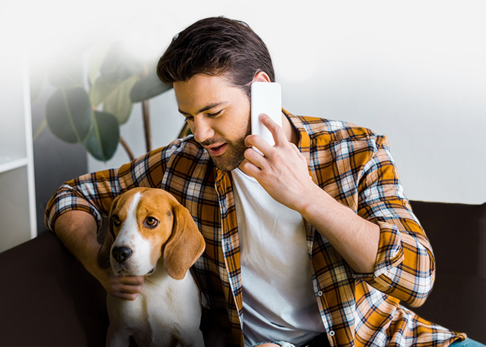 Man on phone with beagle Man on phone with beagle