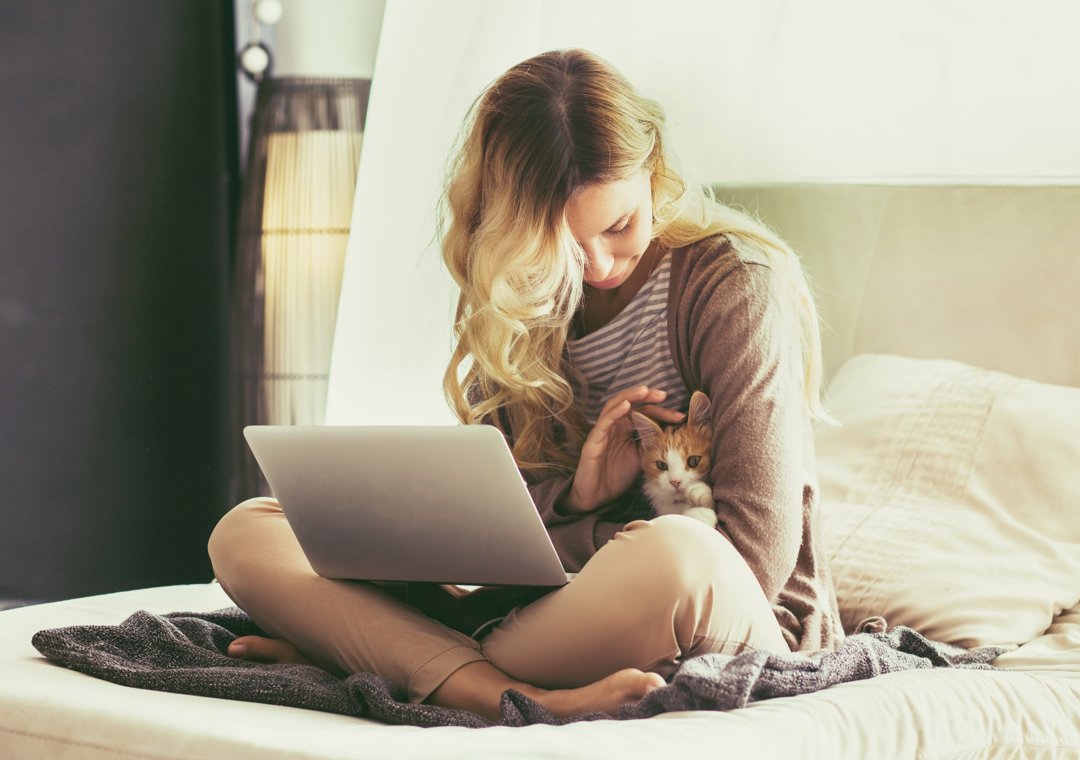 PetVet Vaccination Clinic