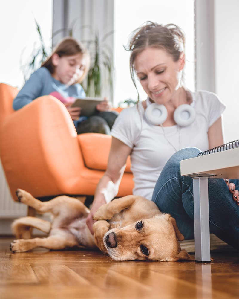 PetIQ Veterinary Helpline Pet Care Telehealth PetVet