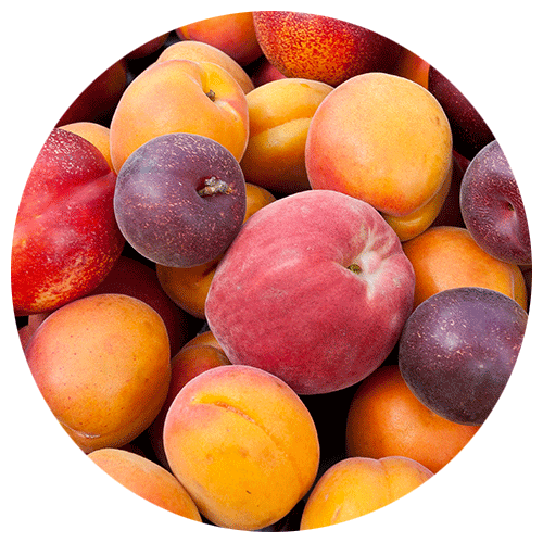 Peaches, Plums & Persimmons
