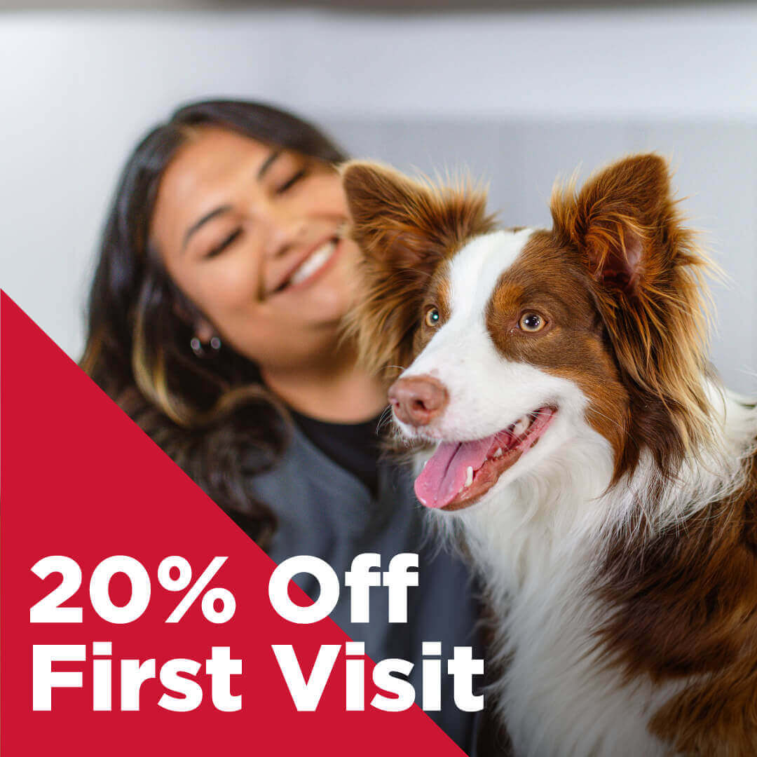 20% Off First Visit
