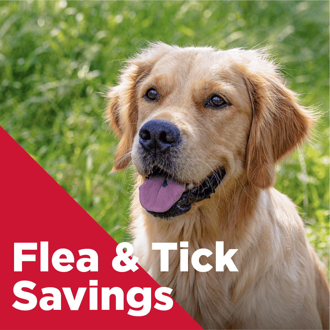 Flea and Tick Savings