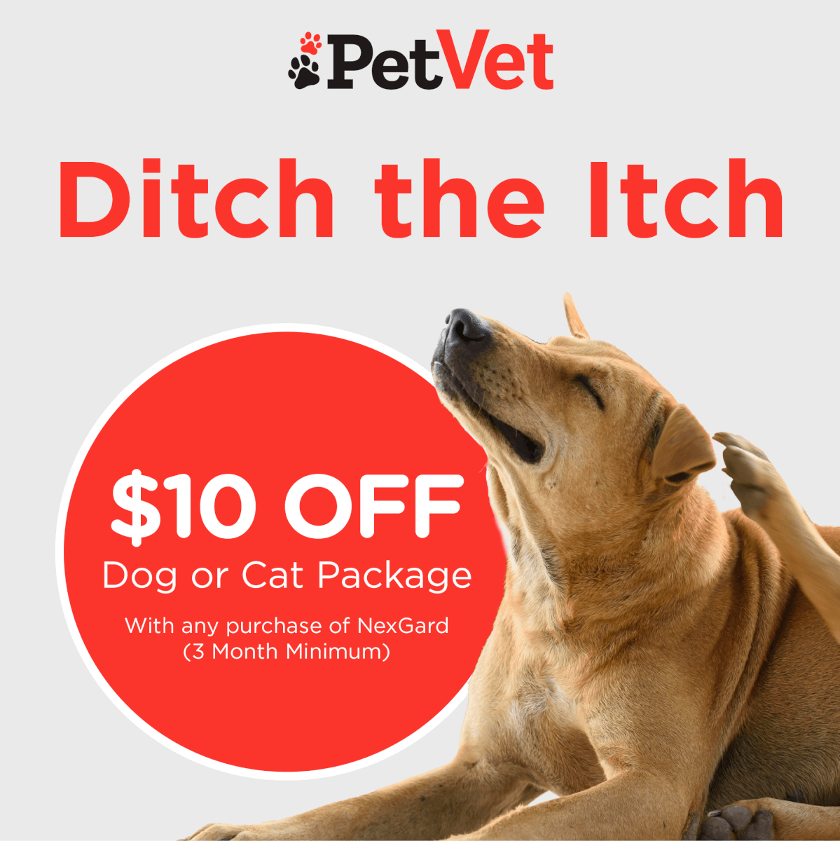 PetVet Ditch the Itch_Digital_1080x1080 Bugs Be Gone Bash