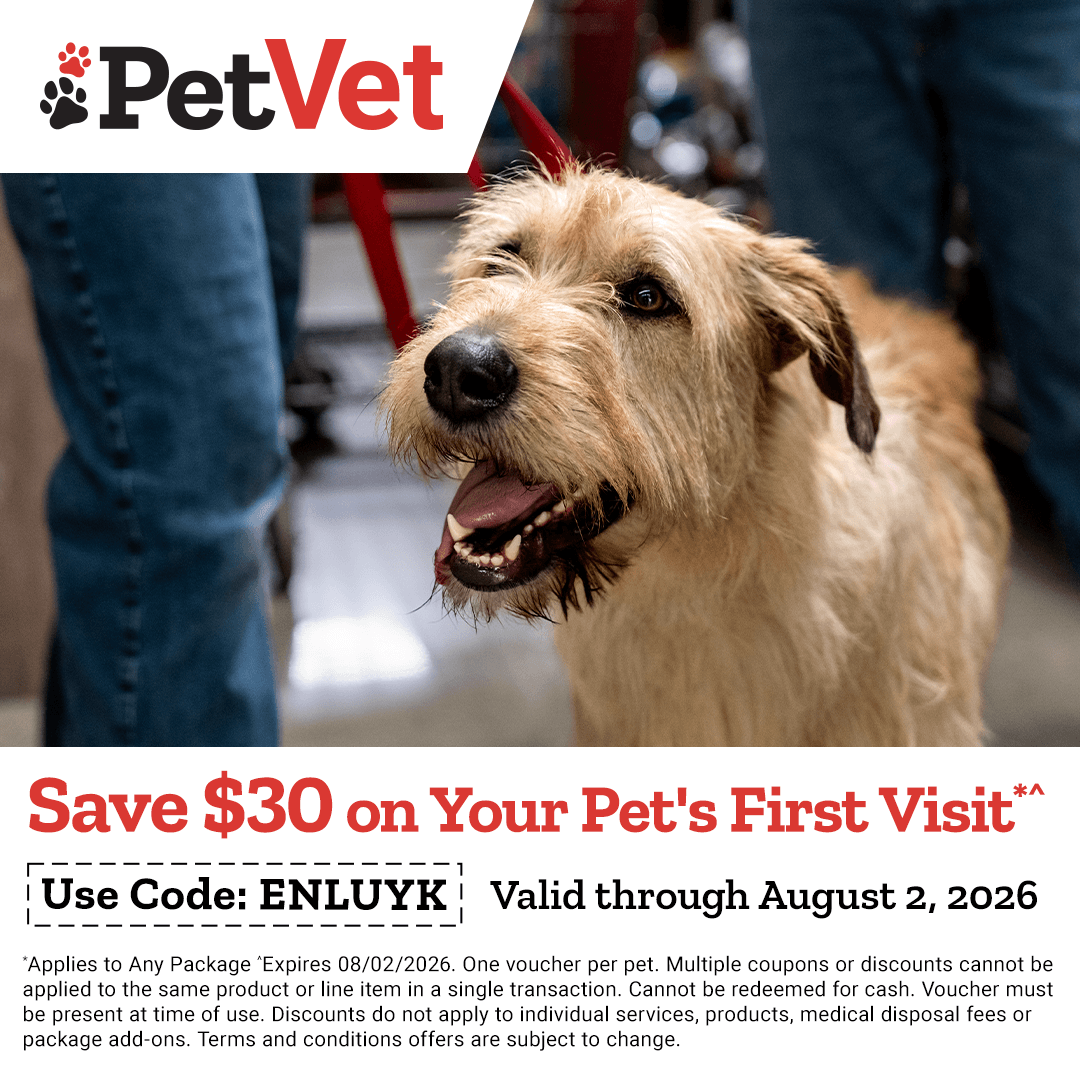 current promotions and coupons