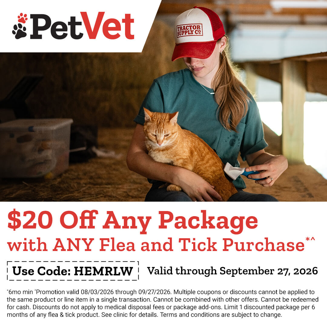 current promotions and coupons